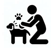 Hands-on practical training