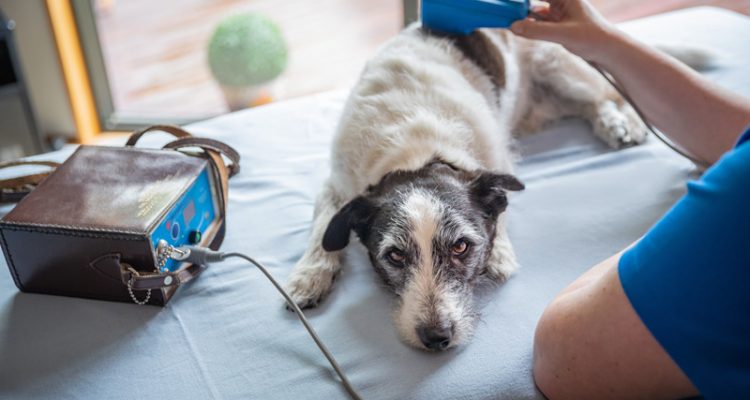 Laser therapy