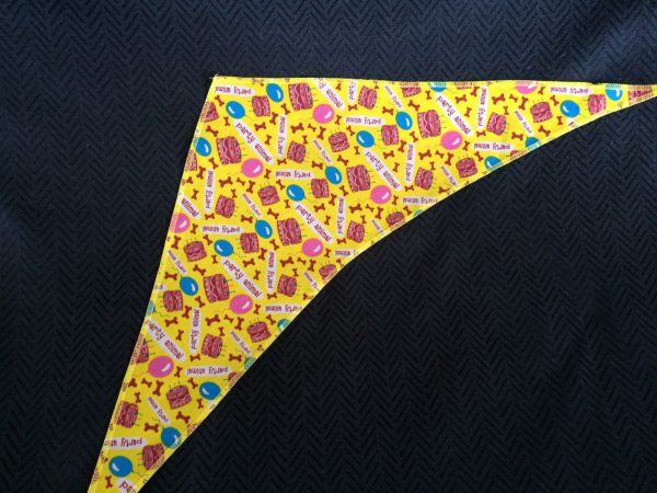 Party animal birthday bandana