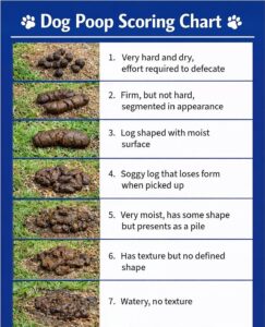 Dog Poop Scoring Chart