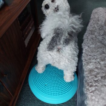Molly doing balance exercises